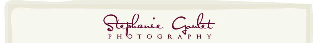 Raleigh Durham Newborn and Child Photographer | Stephanie Goulet Photography logo